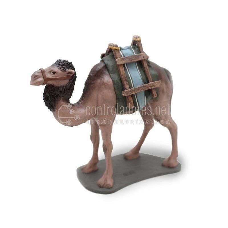 Camello sin carga andando Nº 4