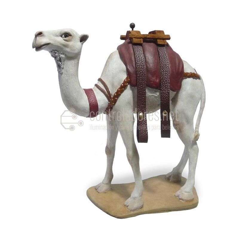 Camello con correas blanco Nº 9