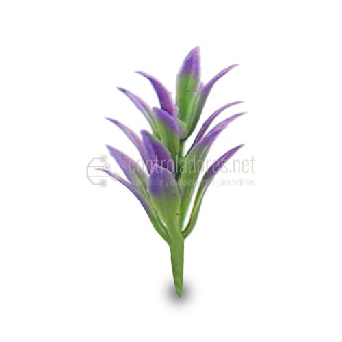 planta_grande_violeta